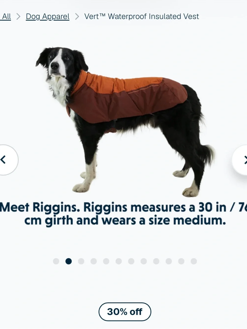 Ruffwear vert waterproof insulated orange dog vest